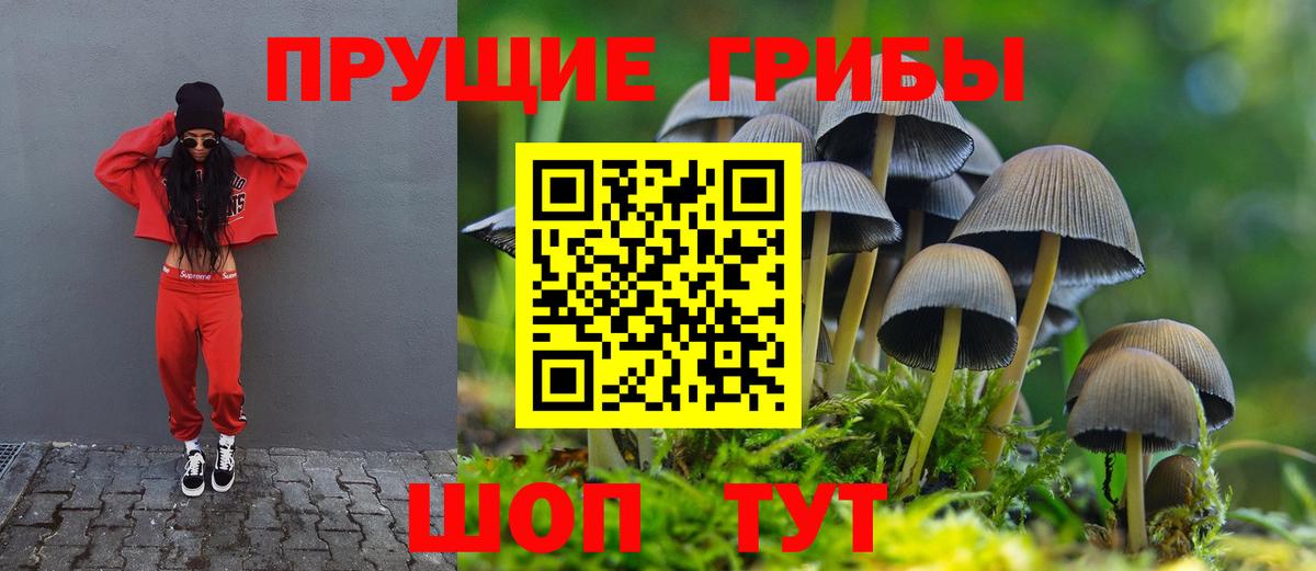 Псилоцибиновые грибы мухоморы Грозный
